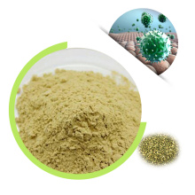 Click Natural Quercetin Dihydrate extract Powder